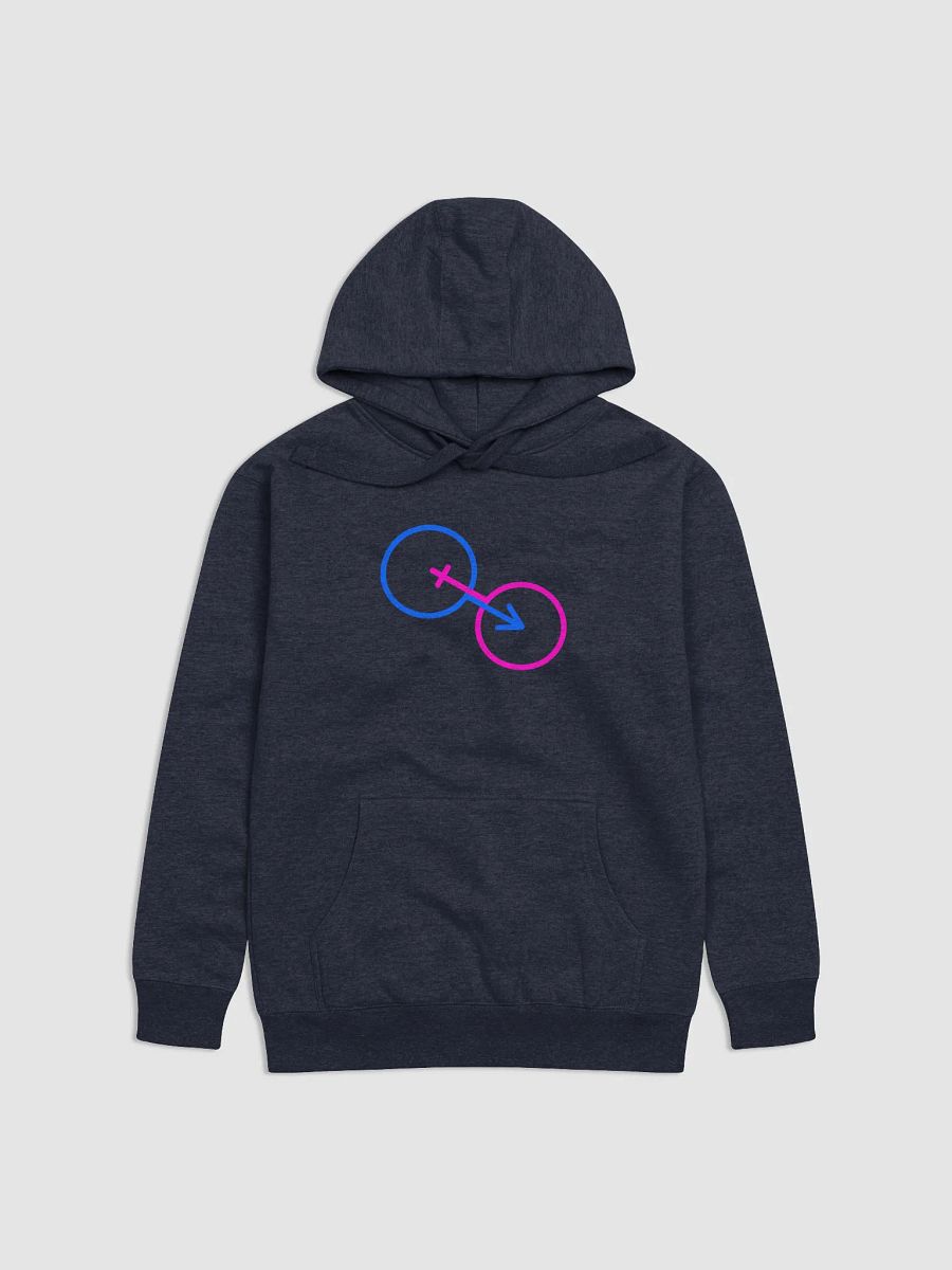 Traditional Genders United Premium Hoodie product image (1)