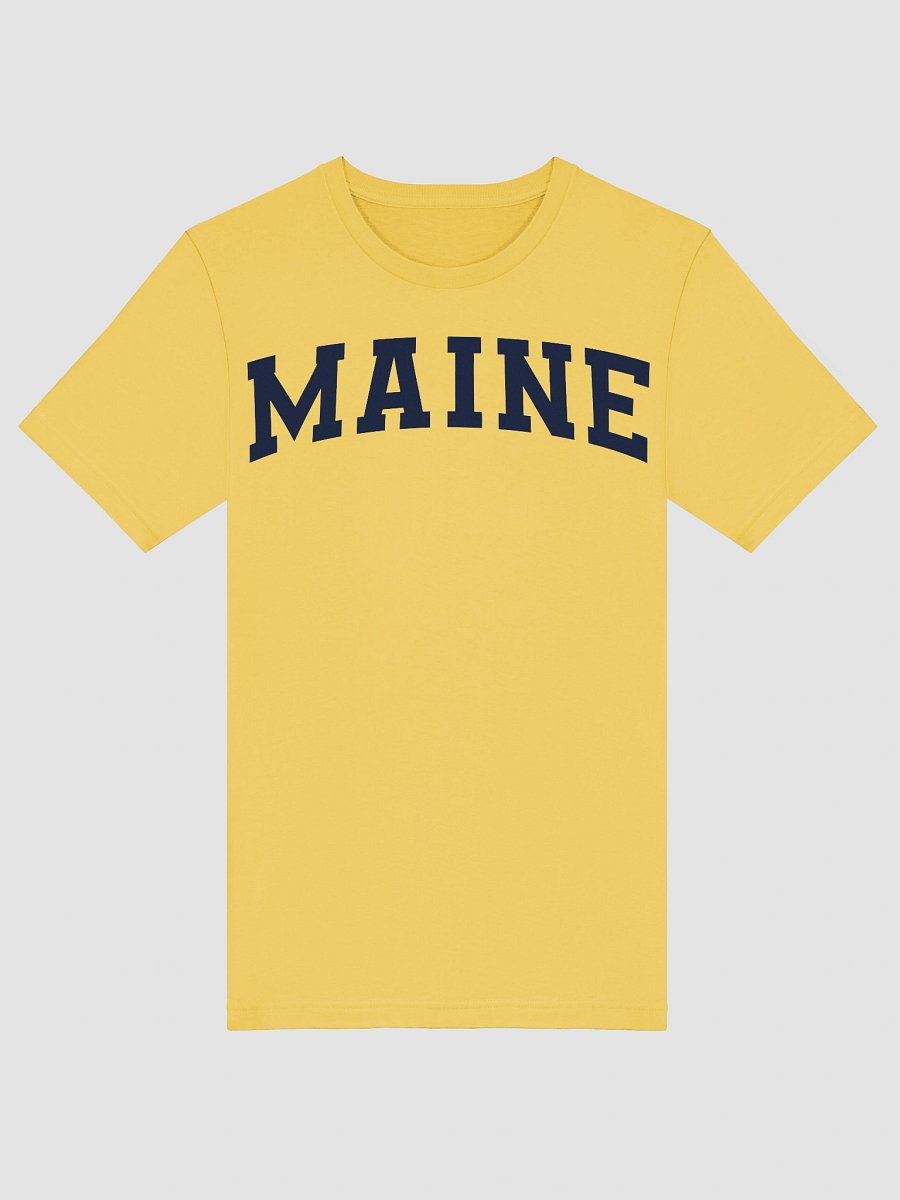 Maine Vintage Stylish Supersoft Unisex T-Shirt product image (5)