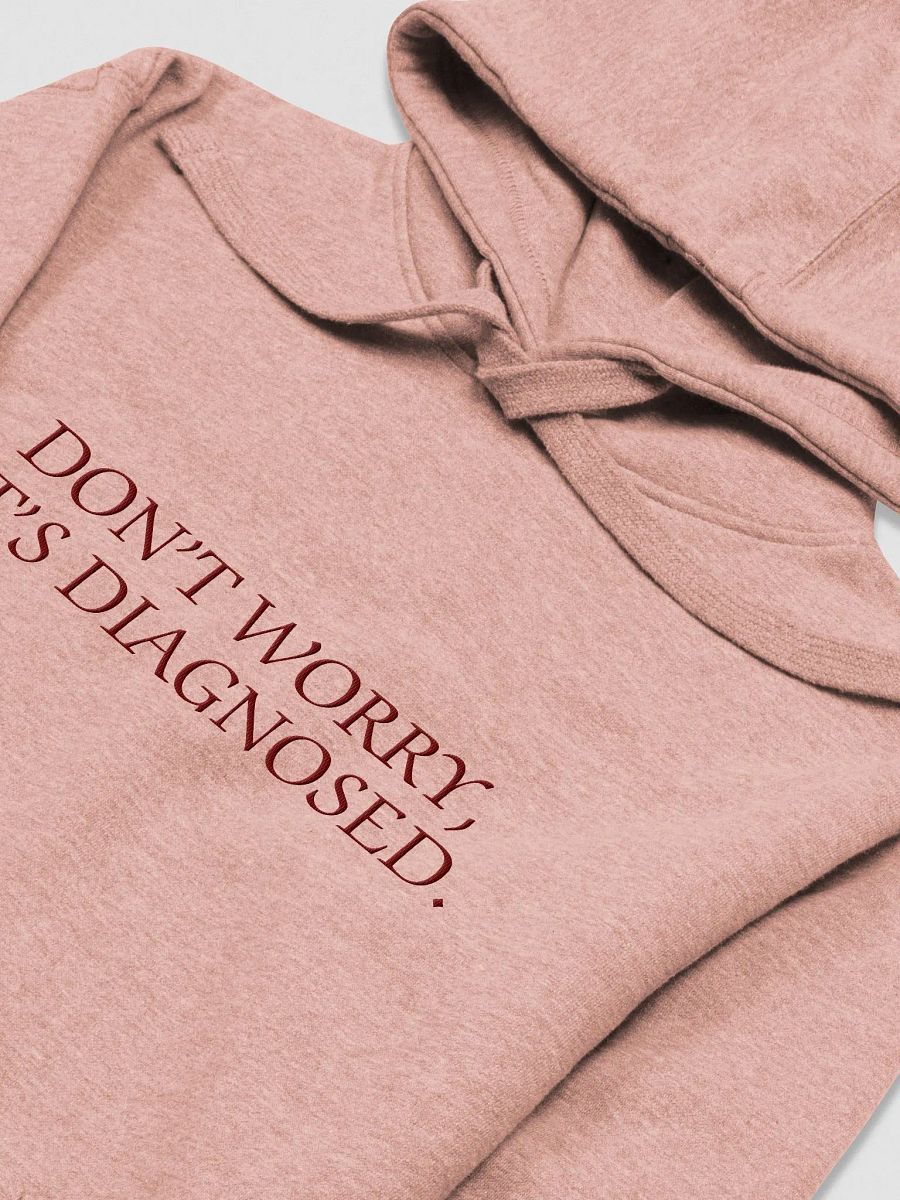 DW, IT'S DIAGNOSED. (maroon) embroidered heavyweight hoodie product image (7)