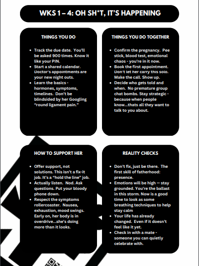 Dad-To-Be Survival Checklist product image (2)