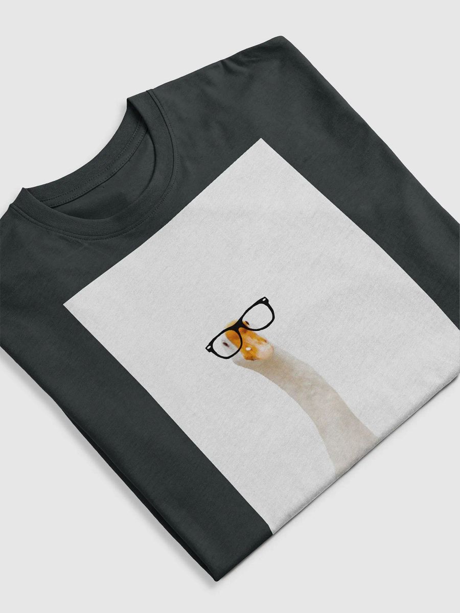 Silly Goose T shir t2 product image (5)