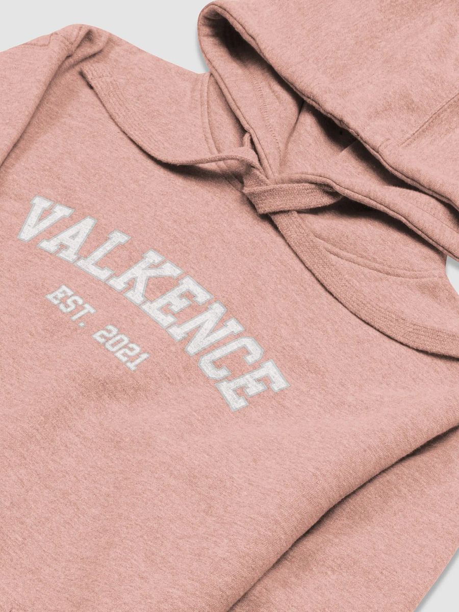 Varsity Hoodie product image (32)