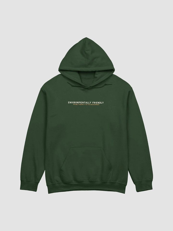 Eco-Friendly Hoodie product image (25)
