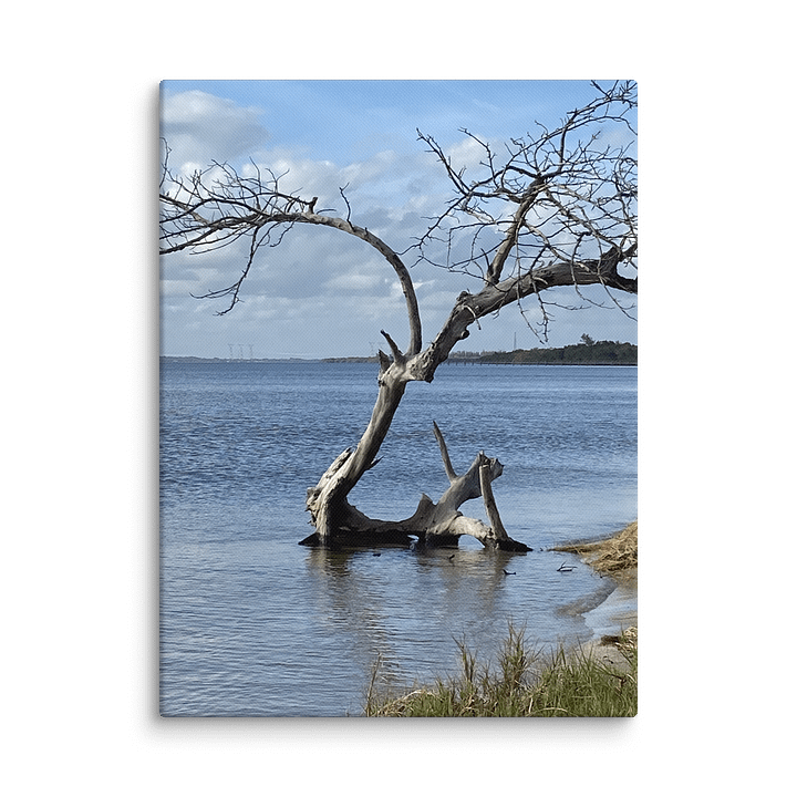 Serenity's Edge Canvas product image (3)