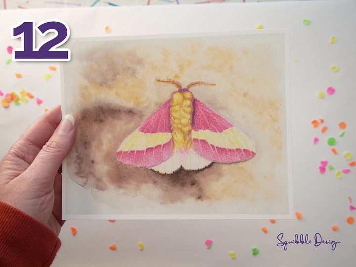 Supporter Print - Rosy Maple Moth product image (1)