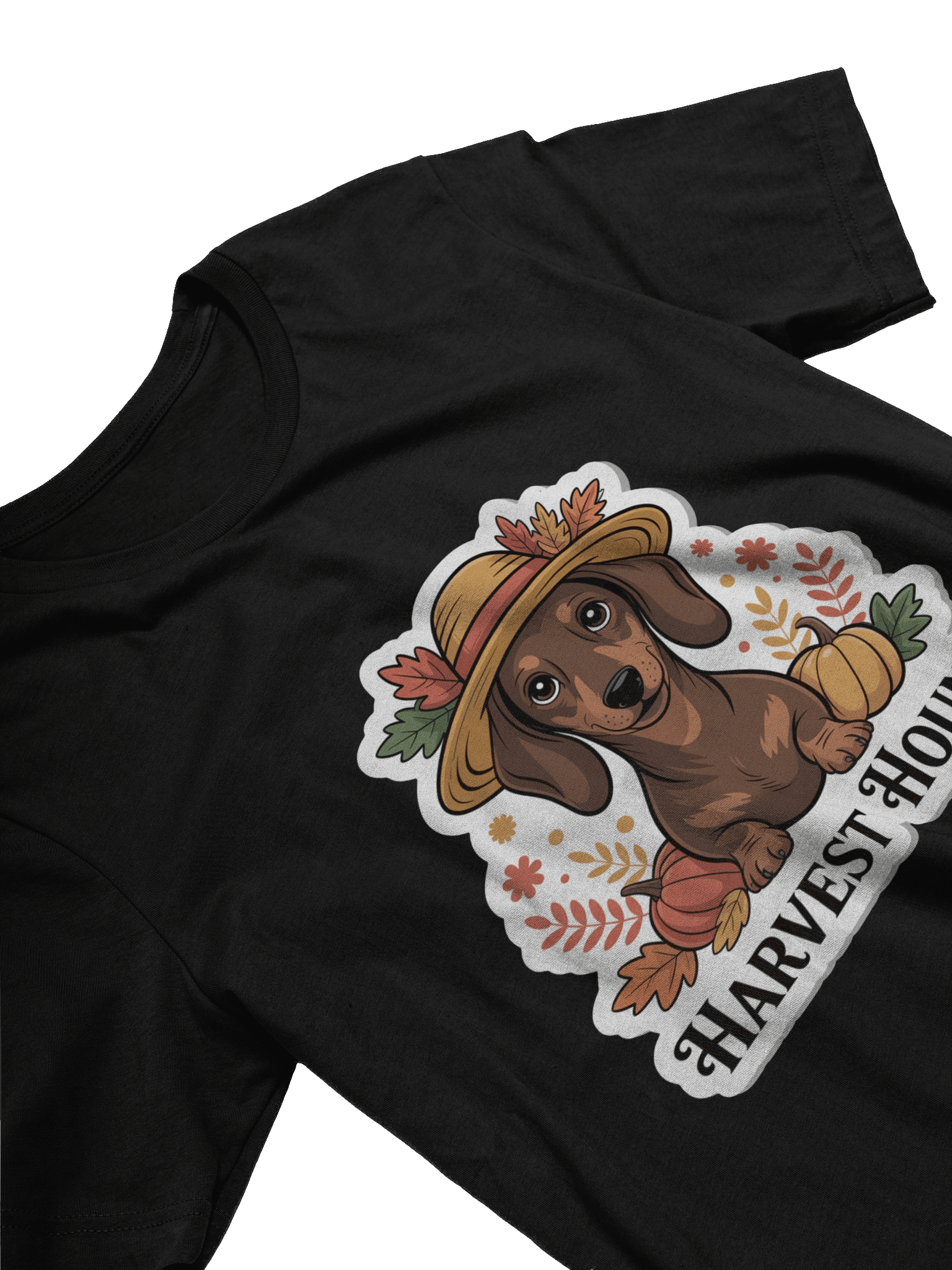 Harvest Hound Fall Dachshund Tee product image (3)