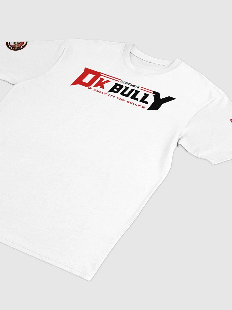 UNDERSTAND FULLY (T-SHRITS ) LD WHITE product image (2)
