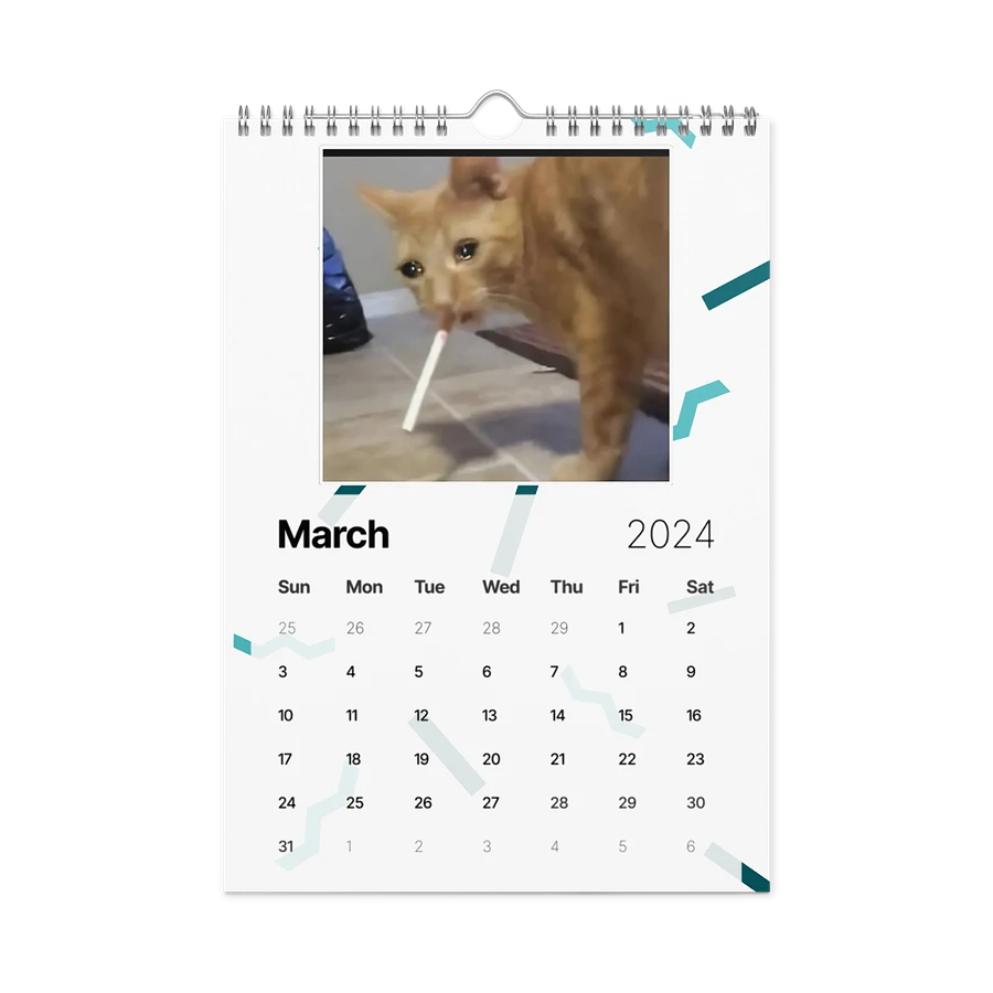 Wall Calendar (2024): Meme Cats product image (13)