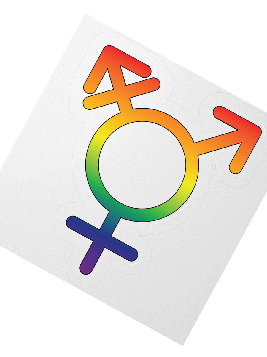 Rainbow Transgender Symbol Sticker product image (4)