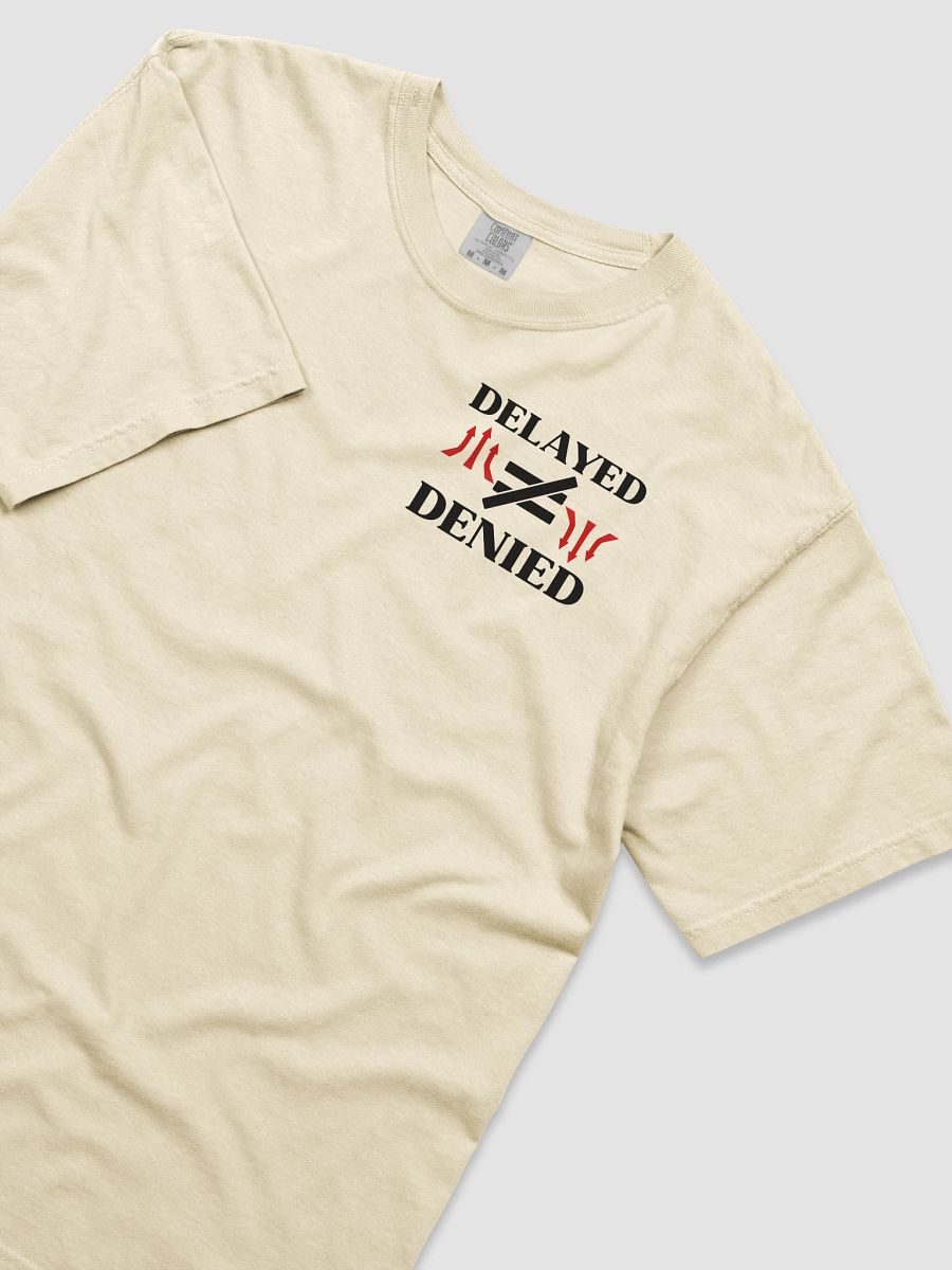 Delayed Not Denied Comfort Colors T-shirt. product image (3)