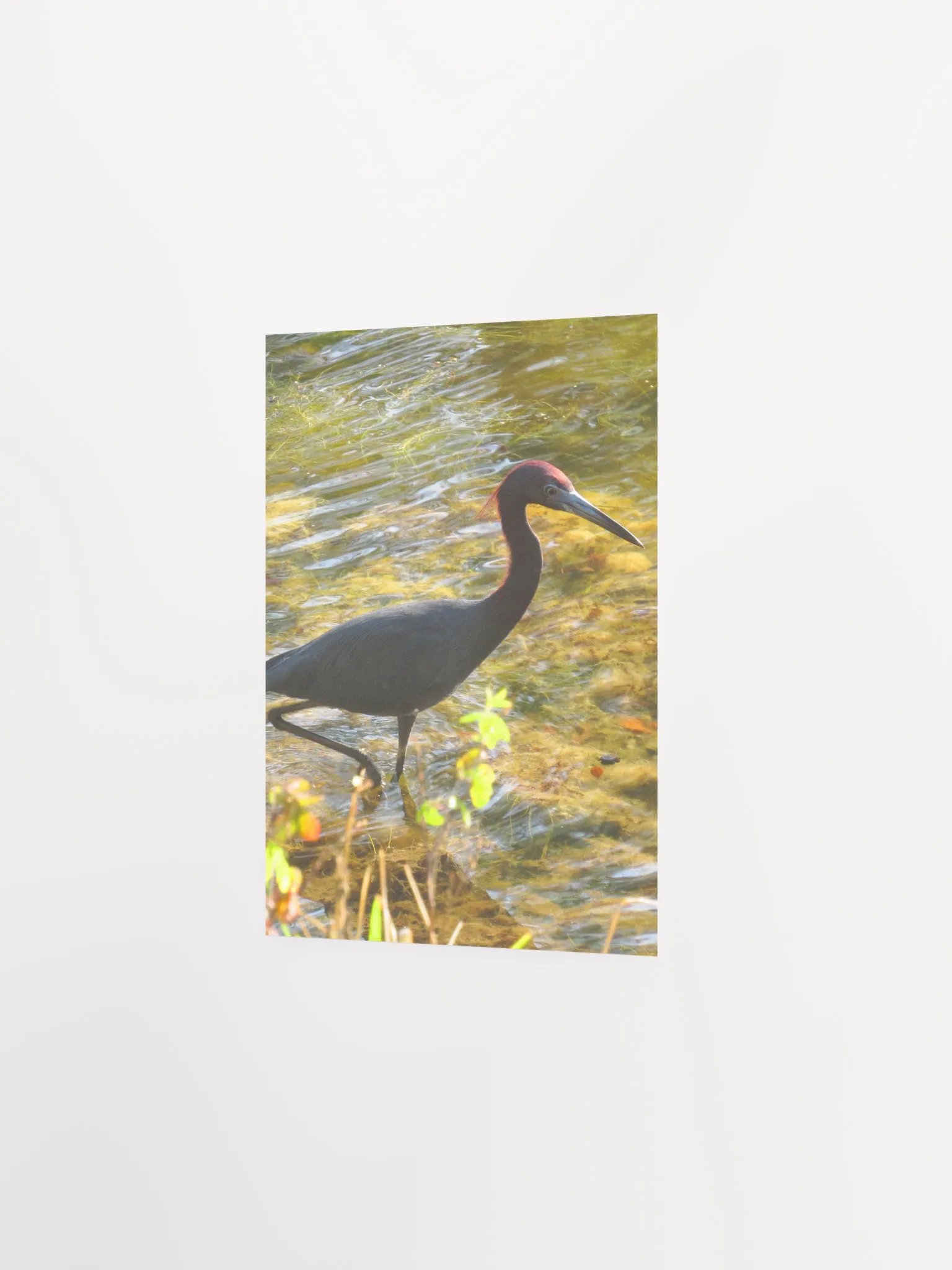 Heron product image (23)