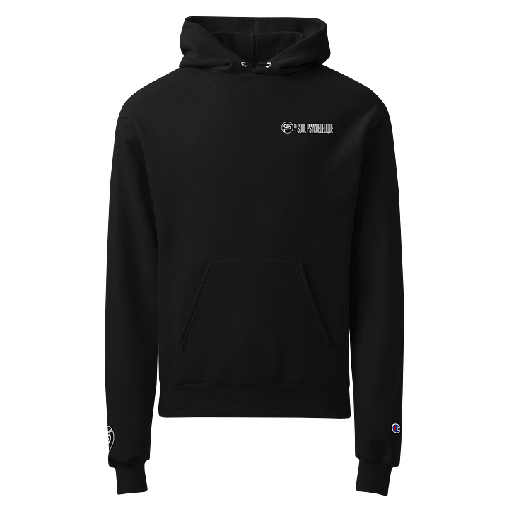 TSP - Embroidered Hoodie product image (1)