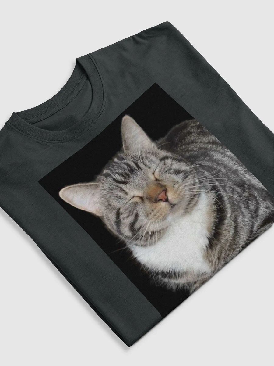 Scooter Cat product image (5)
