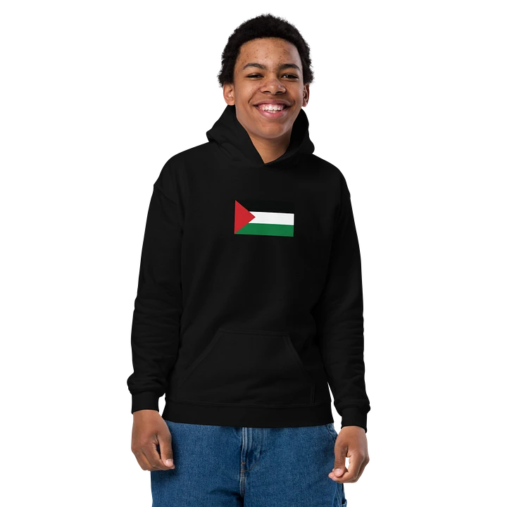 Palestine - Gildan Youth Heavy Blend Hoodie product image (1)