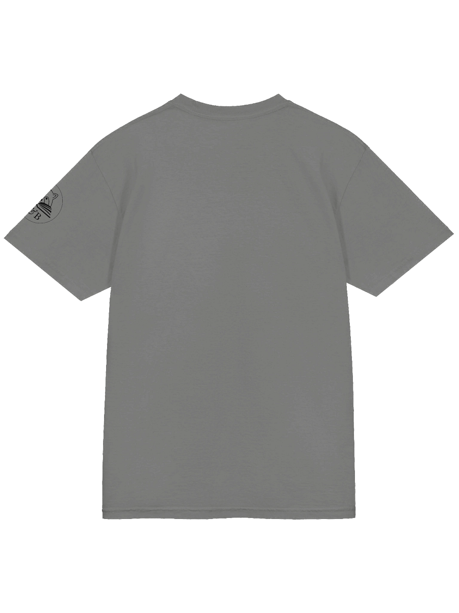 "Coffee Icy, Books Spicy" Comfort Tee product image (4)