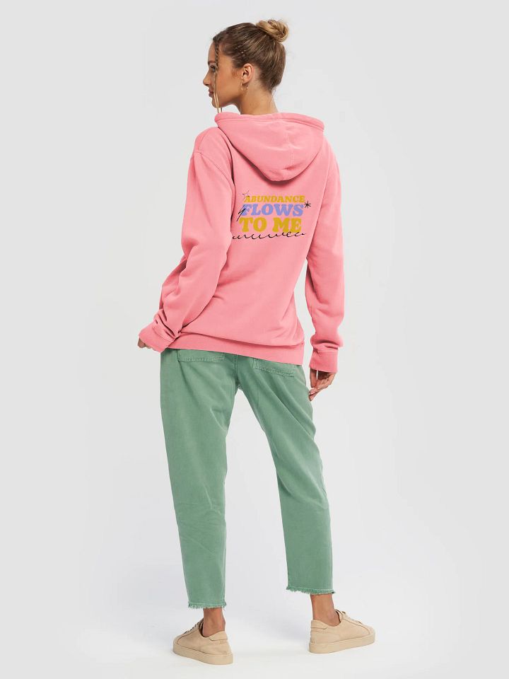 WYS Abundance Flows Vintage Hoodie product image (2)