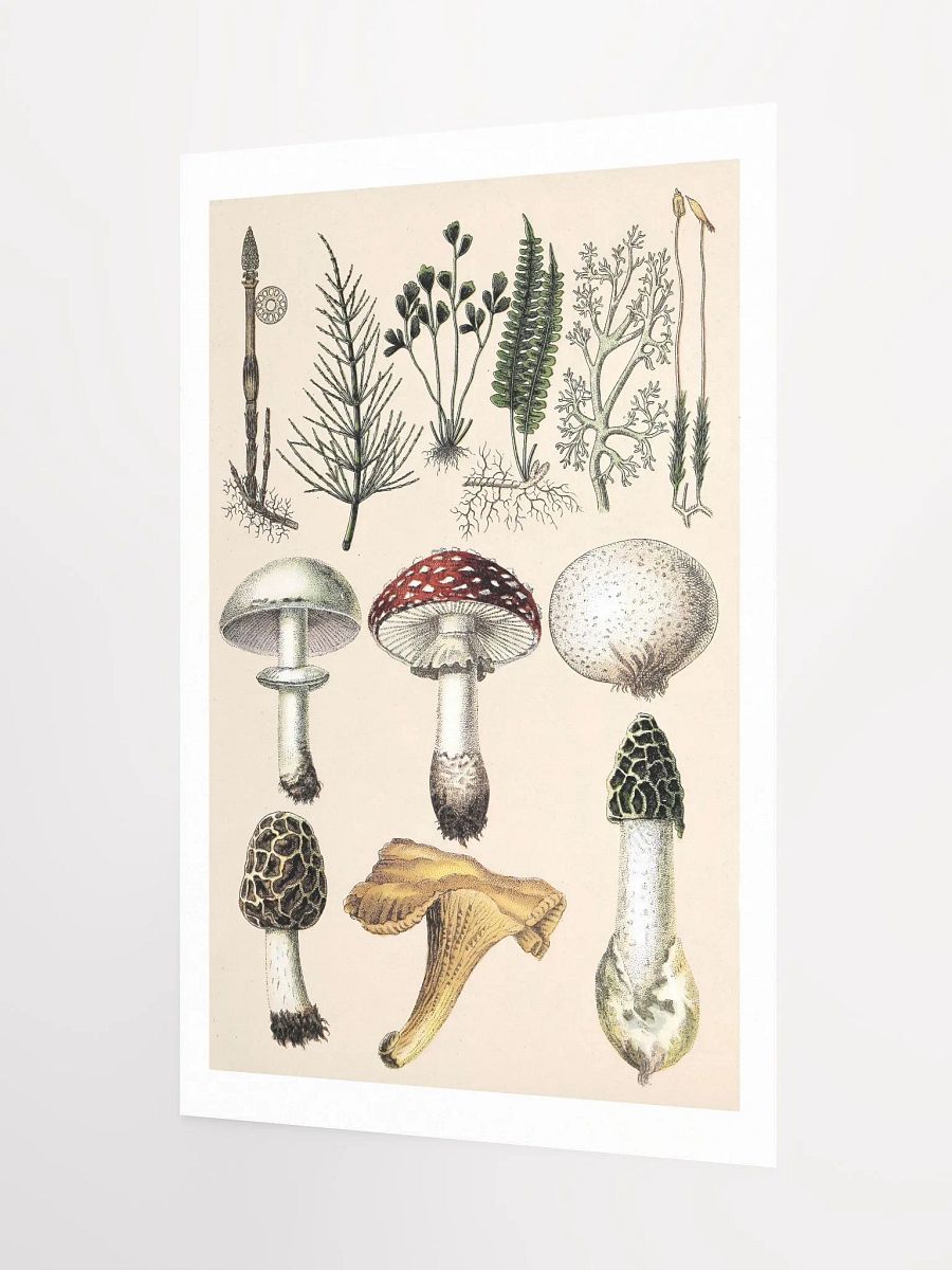 Botanical Wonderland Matte Poster product image (3)