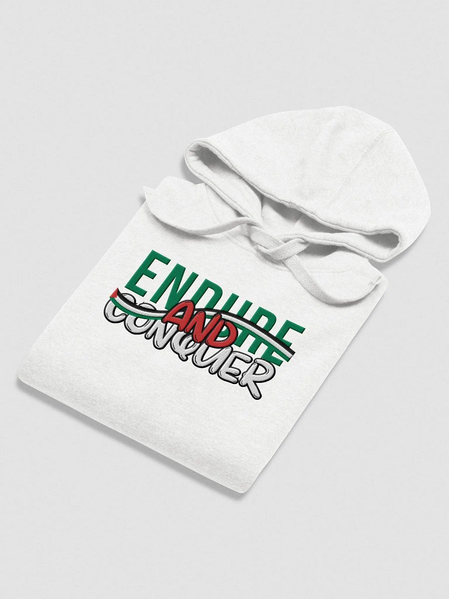 Endure & Conquer Embroidered Hoodie product image (1)