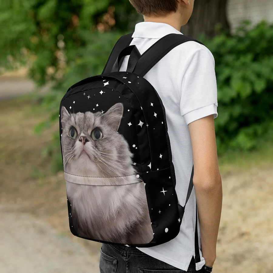 Duman Backpack 2.0 product image (2)