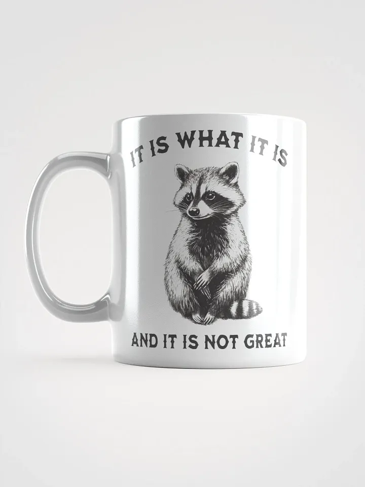 Raccoon It Is What It Is Mug product image (1)