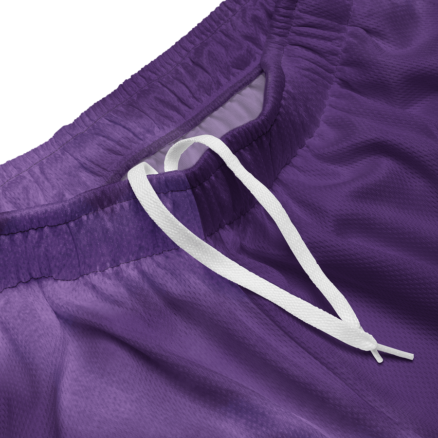 EcoMesh Performance Shorts product image (3)