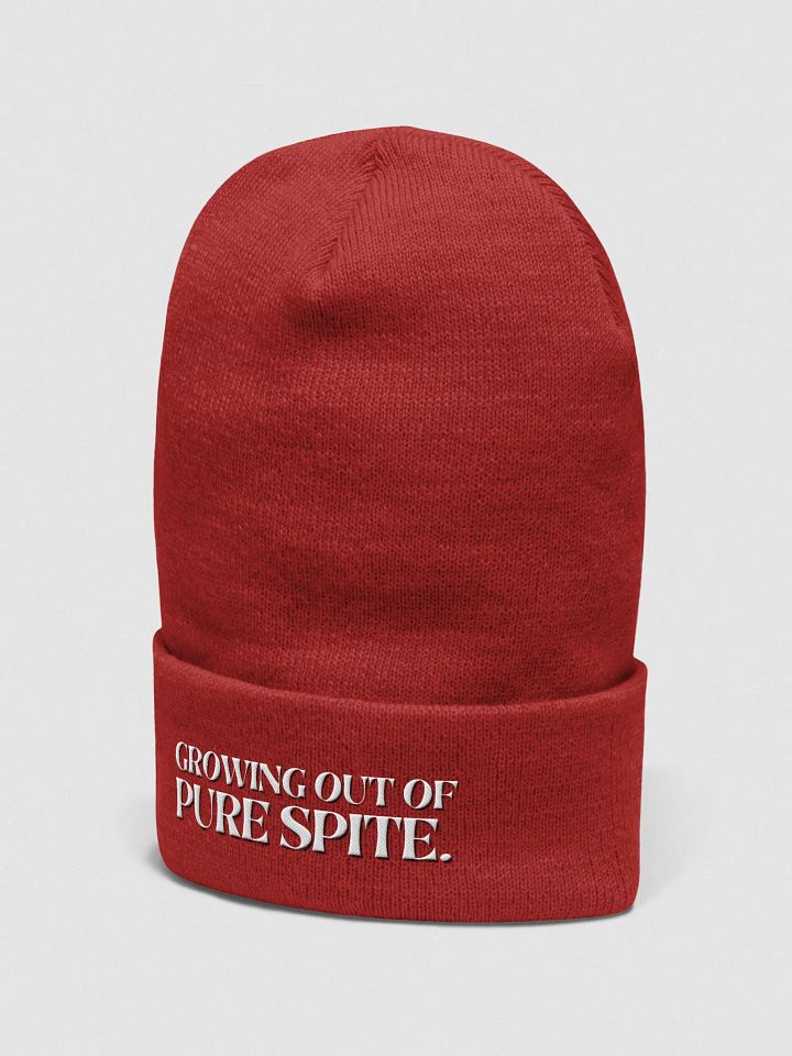 GROWING OUT OF PURE SPITE cuffed beanie product image (32)