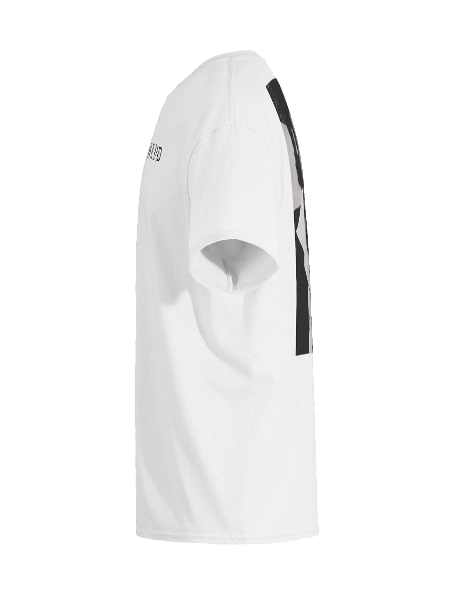 Roseway Blvd Box Shirt product image (11)