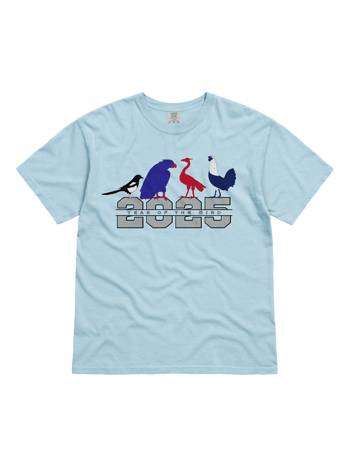 2025 Birds T-Shirt product image (3)