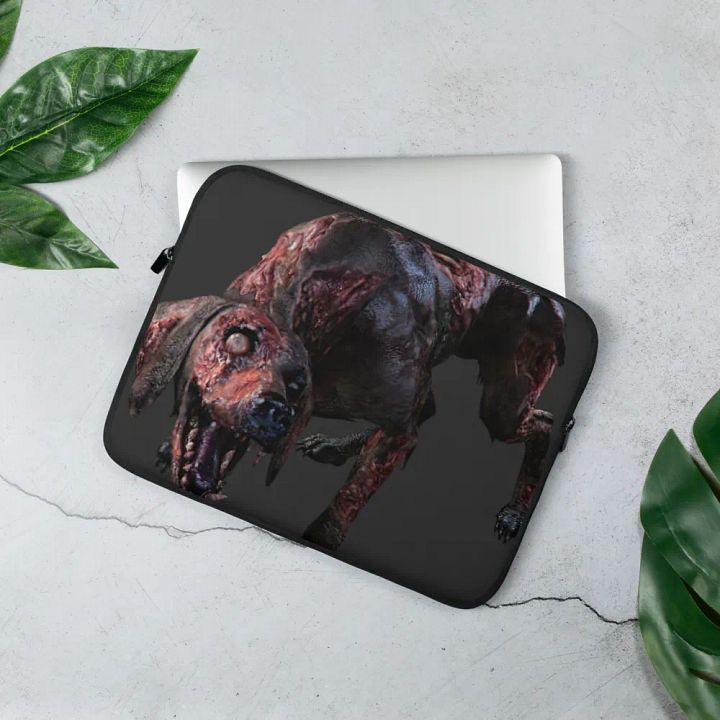 Laptop case 