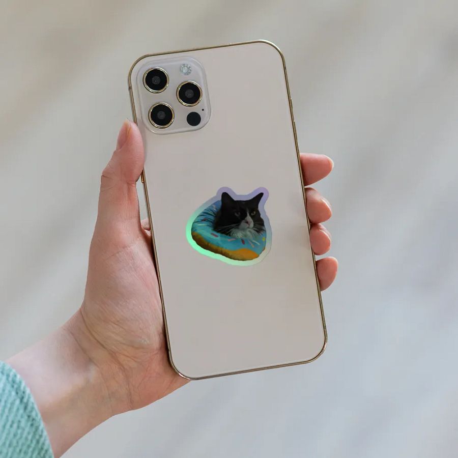 Shiny Donutfest product image (6)