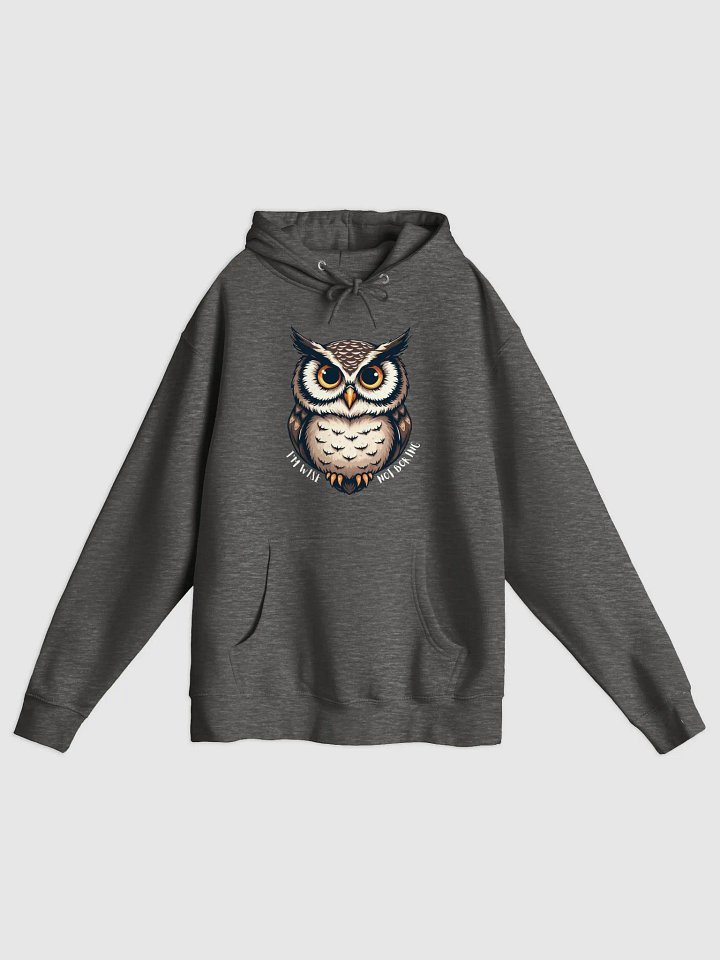 I'M WISE NOT BORING Owl Pullover Hoodie product image (1)