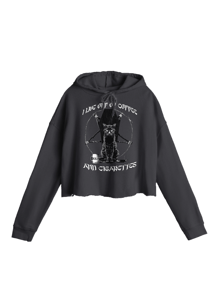 Vices & Vibes Cropped Hoodie product image (1)