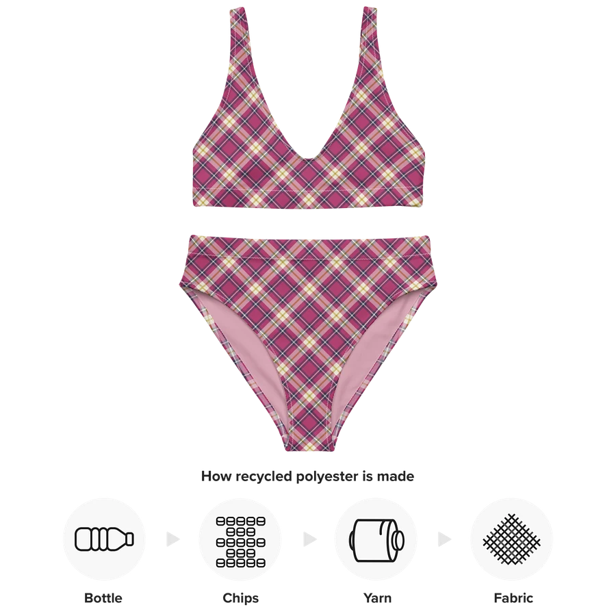 Raspberry Pink and Navy Plaid Bikini product image (10)