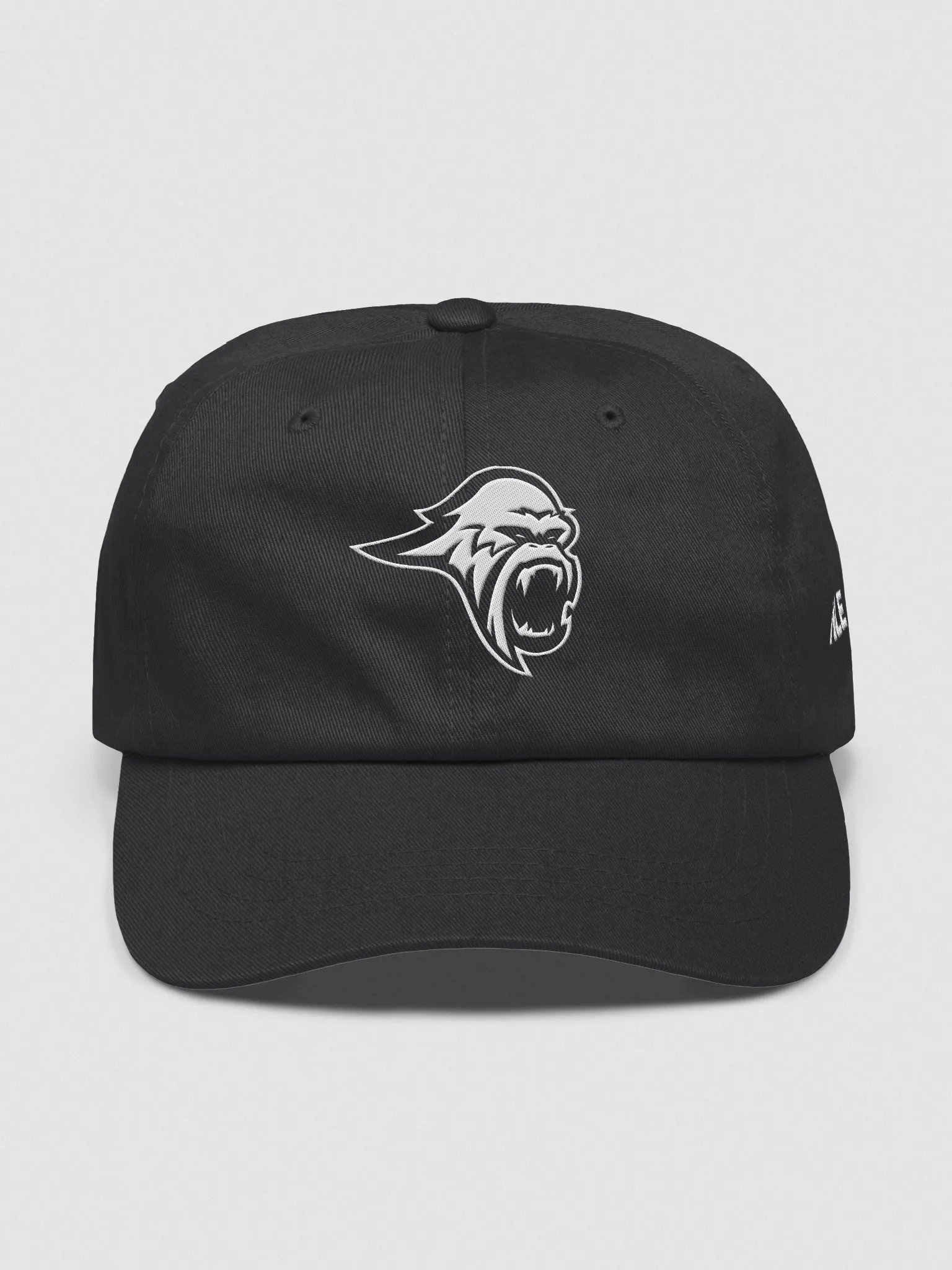 Blizzard Dad Hat product image (1)