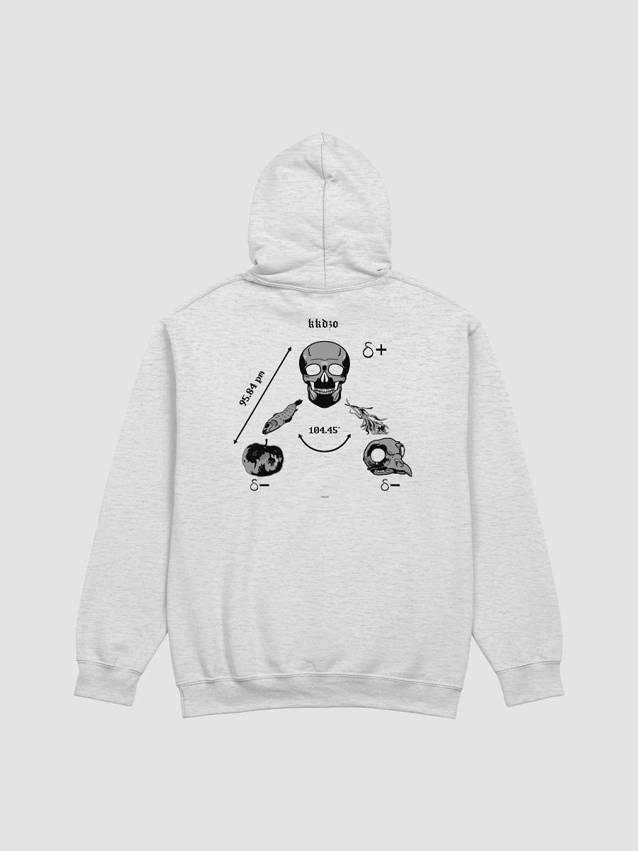 Saga Hydropolitique ( Hoodie Bright Edition ) product image (2)