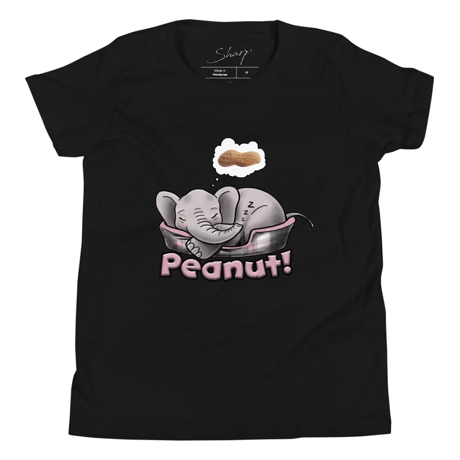 Sleepy Peanut - SFA Youth T-Shirt product image (1)