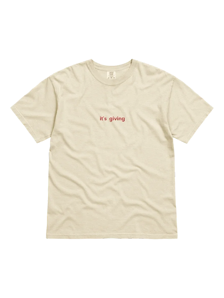 it's giving Embroidered Tee - Light Colors product image (1)