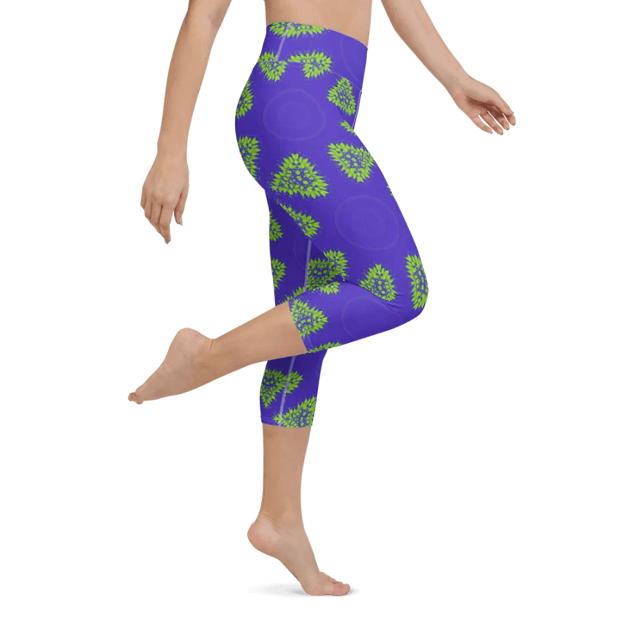 Shape Spectrum Capri Leggings product image (3)