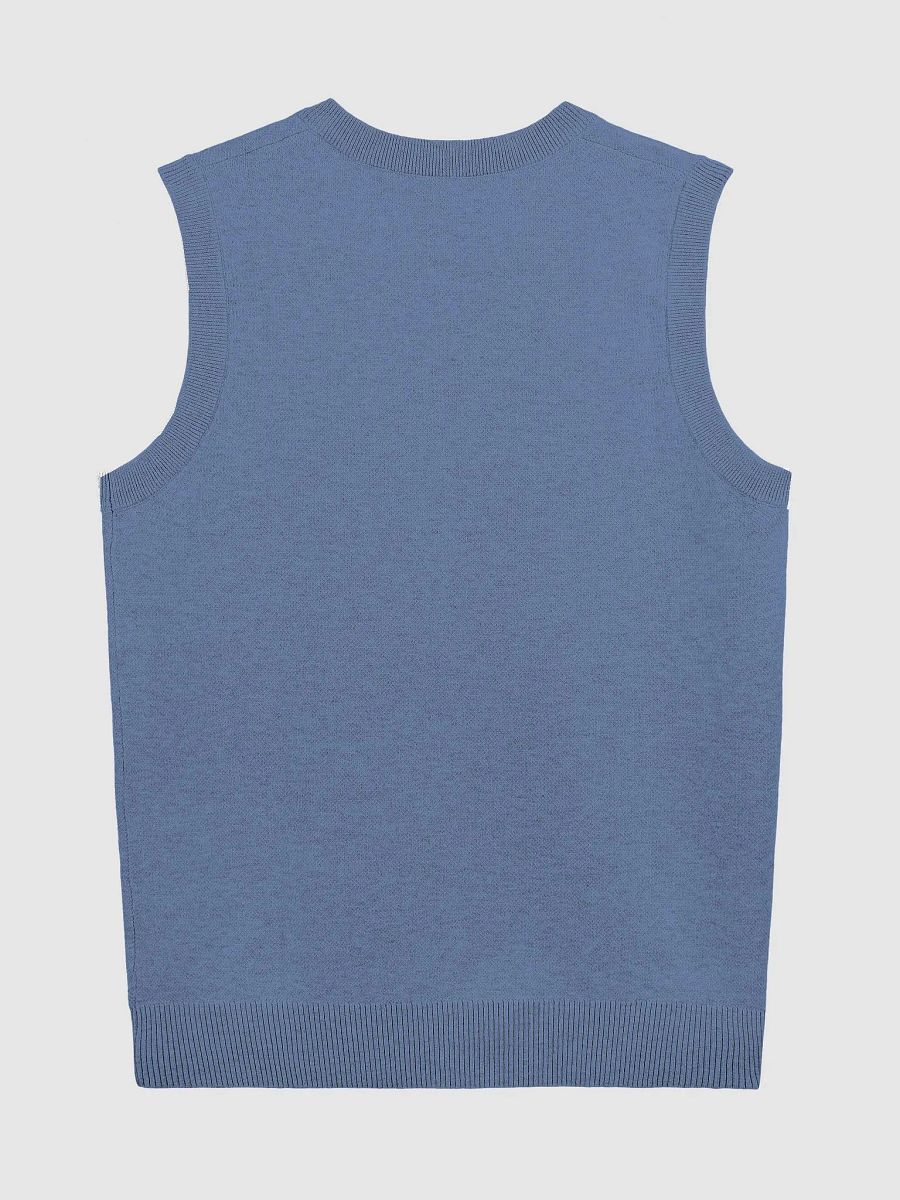 BUSY-BRAINED (lg. design, duotone blue) knitwear vest product image (9)