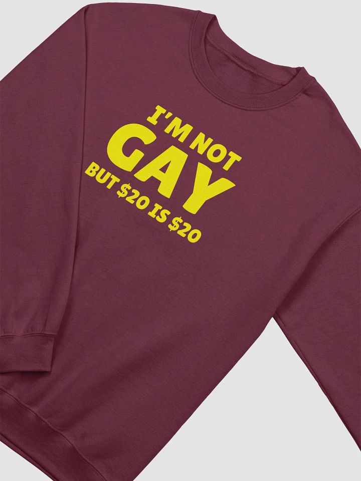 Not Gay But $20 is $20 Front Print Unisex Sweatshirt product image (2)