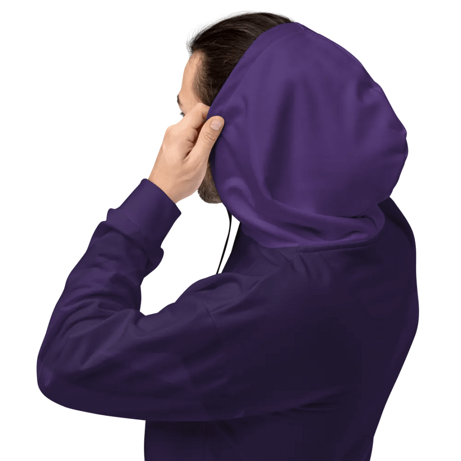 Fireside Low Profile Hoodie product image (4)