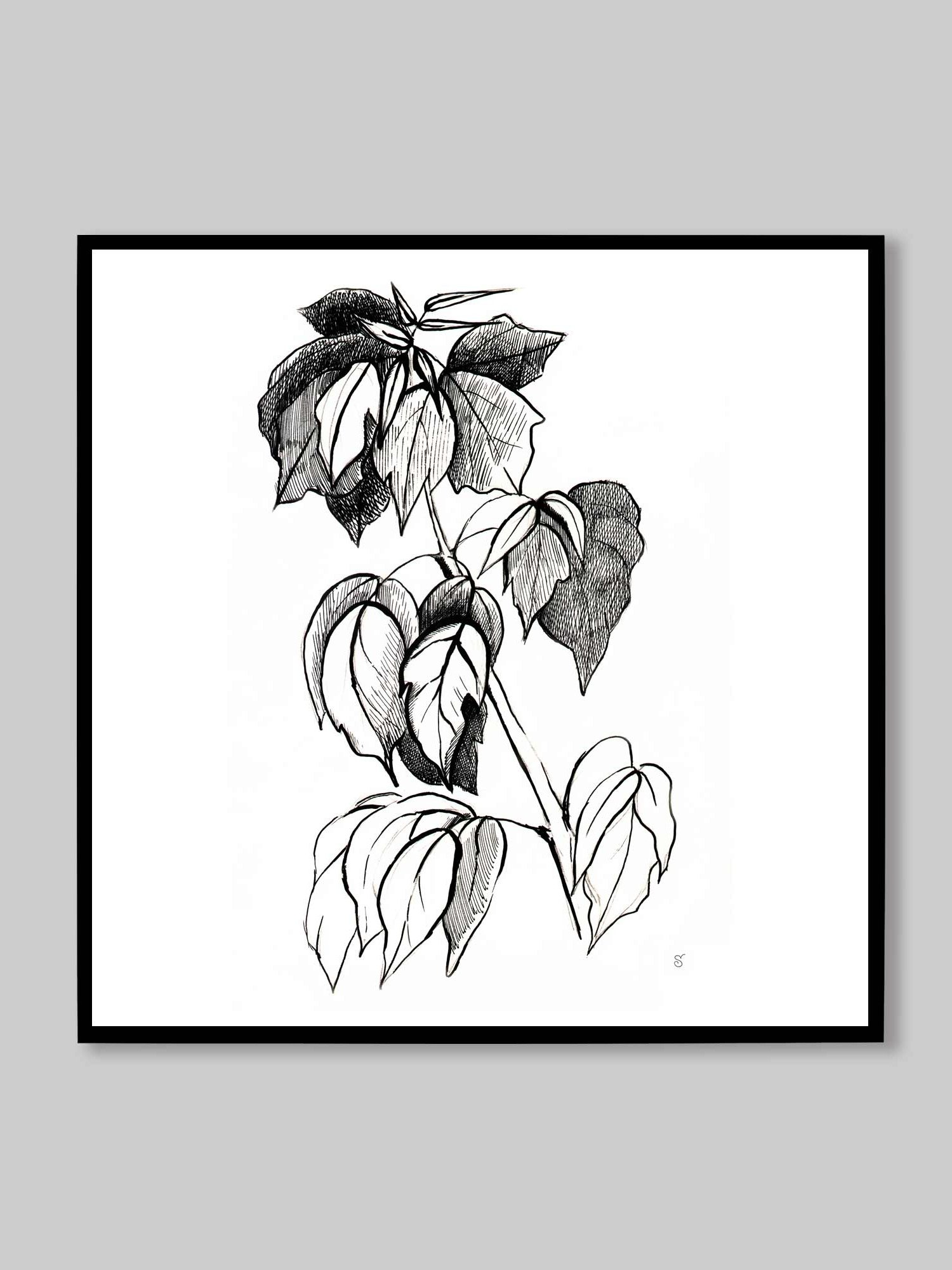 Botanical Line Art Canvas Print - Stylish Graphical Twig product image (10)