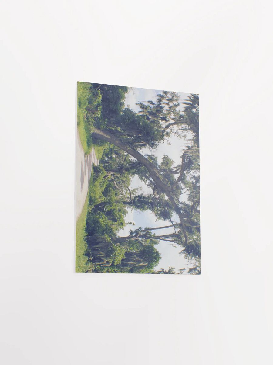 Gates of Heaven product image (31)