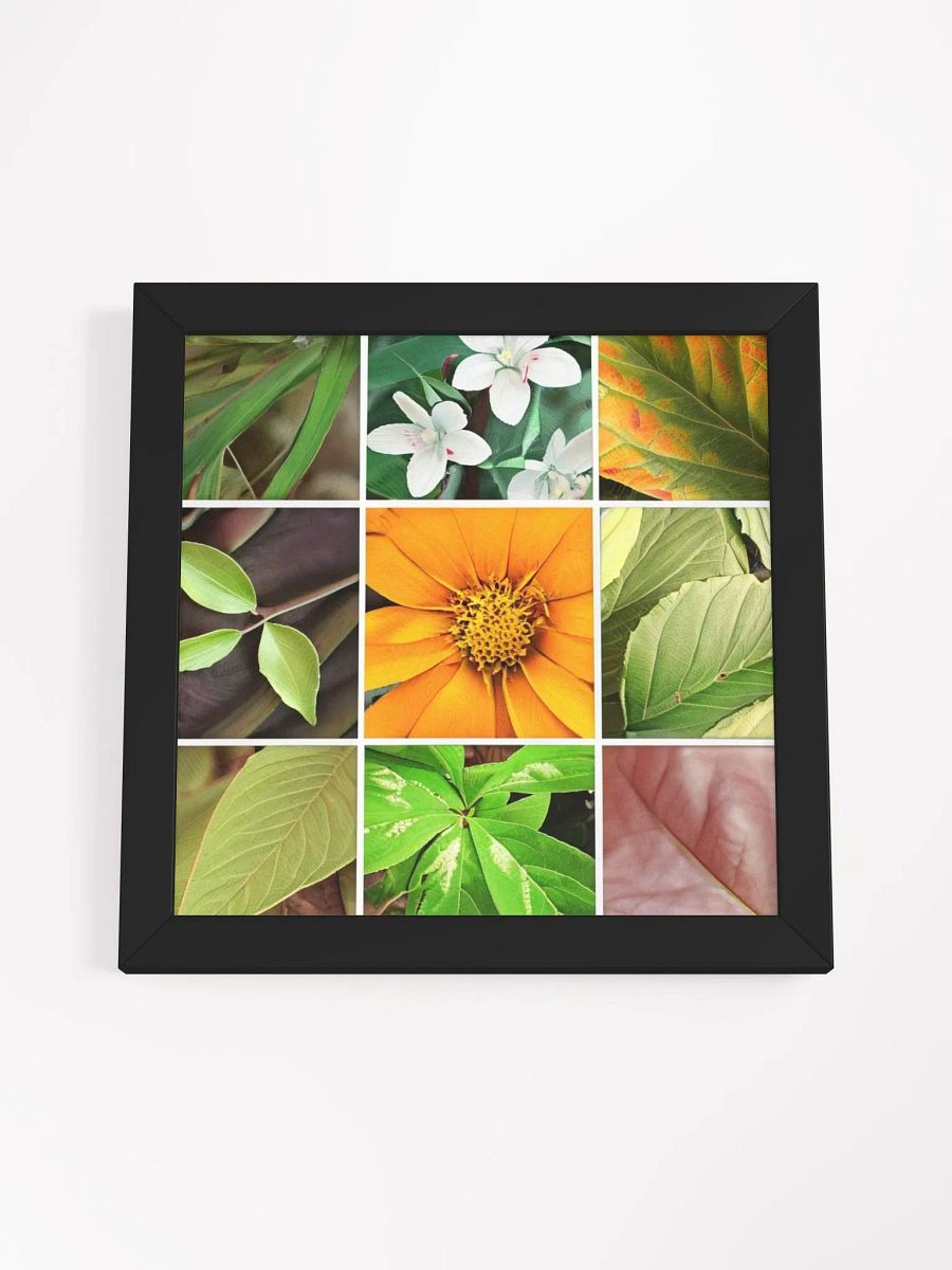 Framed High-Quality Matte Poster: Vibrancy in Bloom product image (18)