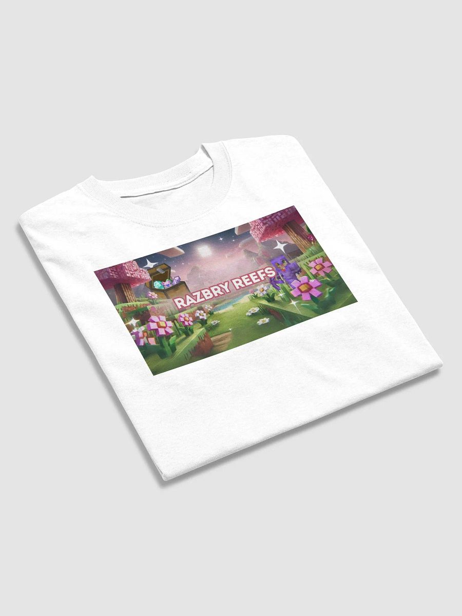 Razbry Reefs Dreamscape Tee product image (9)