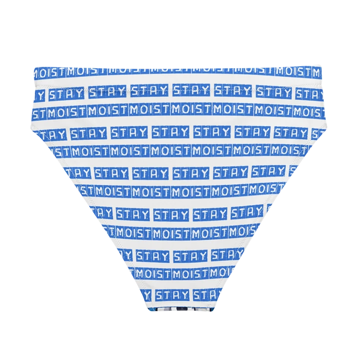 LS Trio High-Waisted Bikini Bottom product image (1)