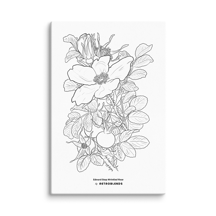 Wrinkled Rose Coloring Canvas product image (1)