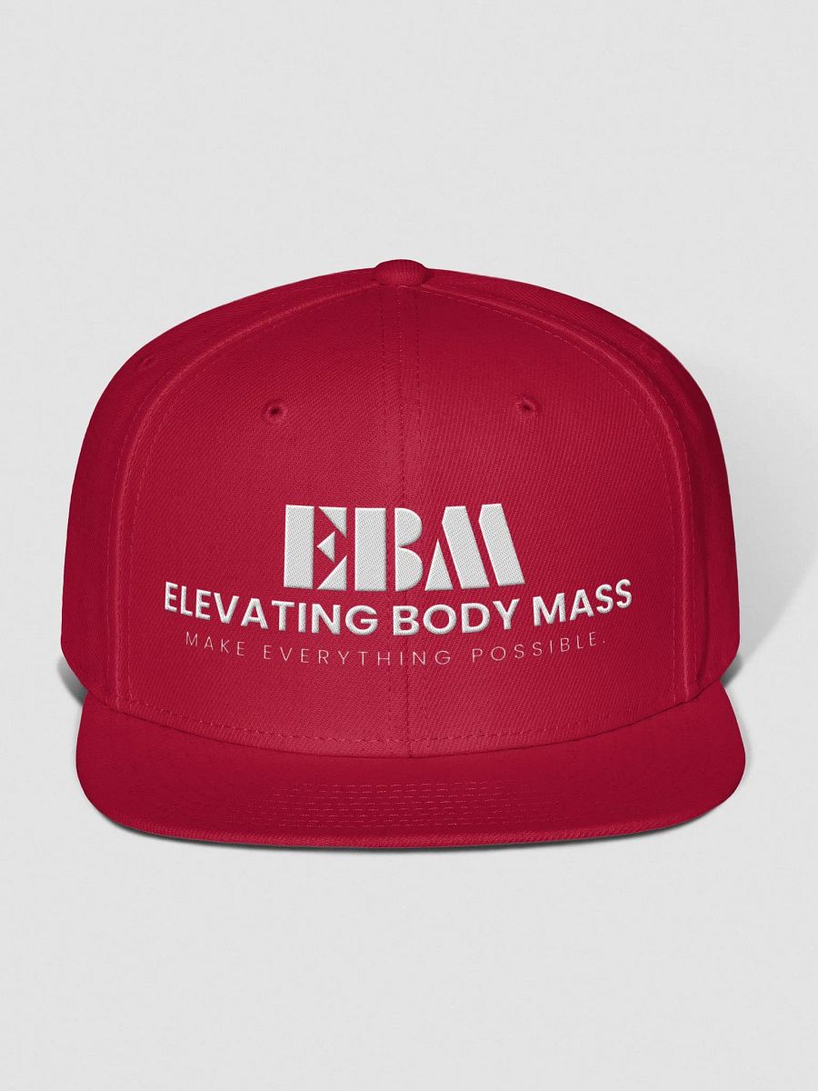 EBM Snap Back Cap (White Logo) product image (1)