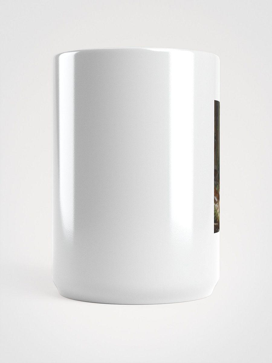 Cat product image (5)