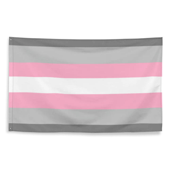 Demigirl Flag product image (2)
